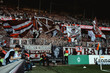 svw29-copy_28129.jpg