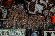 svw31-copy_28129.jpg